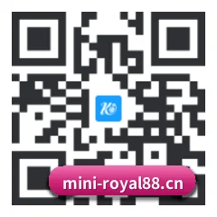 iOS 系统版 二维码